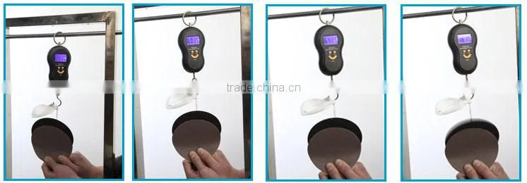 Customized 5 holes Sanding Disc
