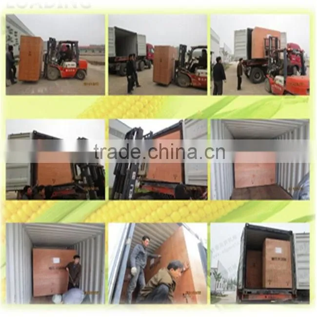 50TPD millet milling machine