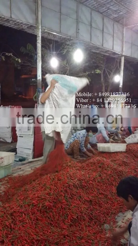 chili Peppers