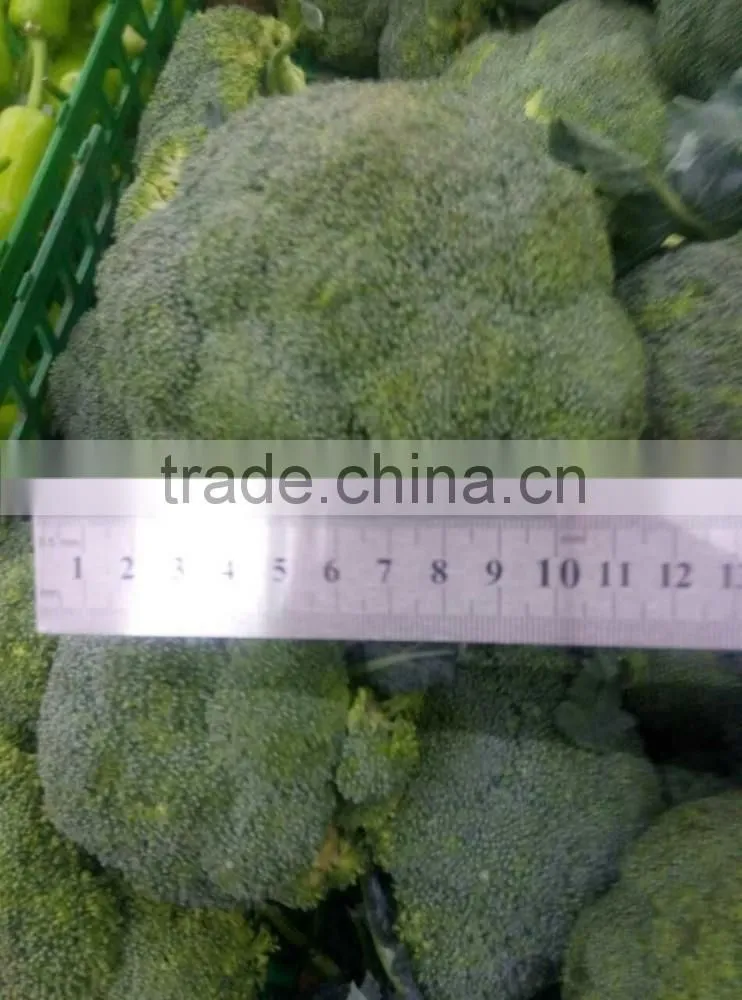 fresh broccoli