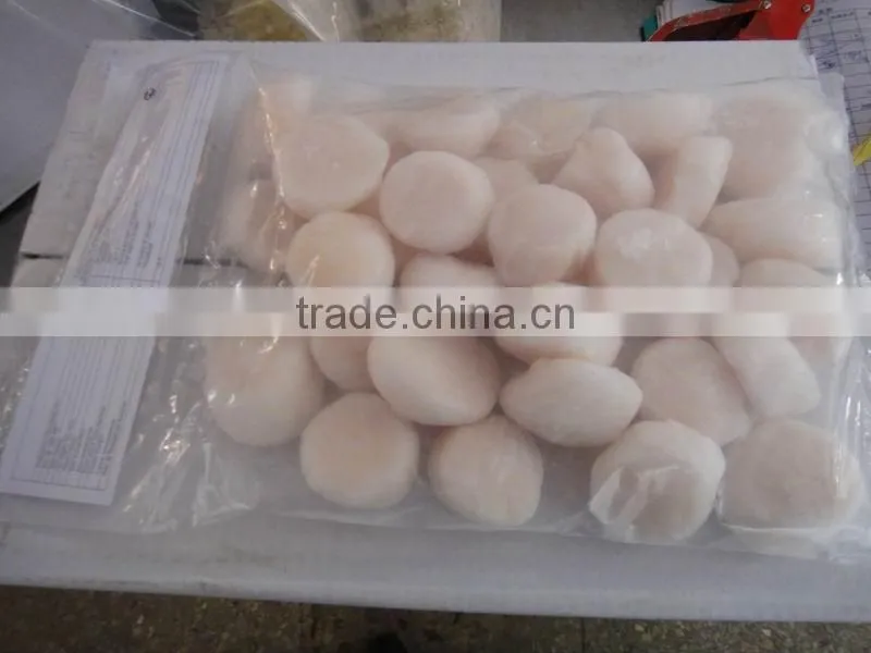 Frozen sea scallop meat