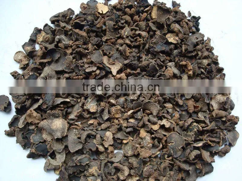 dry tuber indicum slice