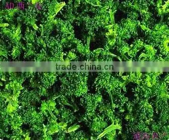 dried broccoli powder