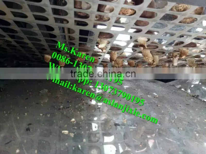 Mushroom leg and cap separator machine / Mushroom stem removal machine