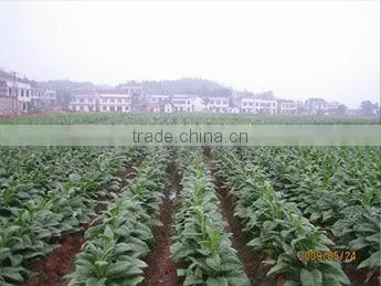best quality organic fertilizer crusher//0086-15838061756
