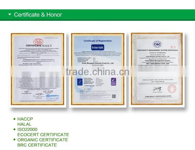 wholesale RAW pumpkin seeds ton price