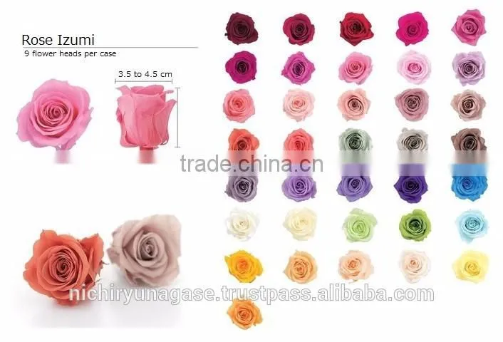 Pretty hydrangea preserved flowers with various species