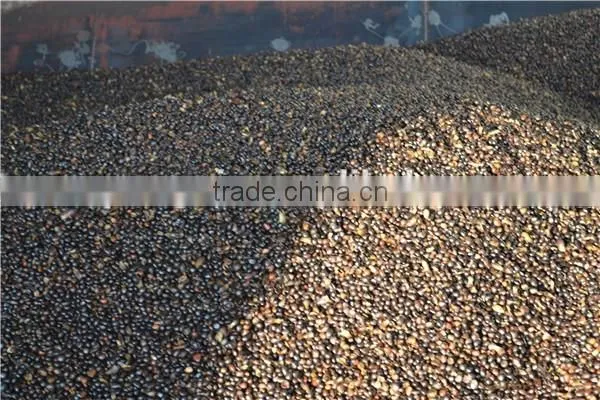 10TPH price palm oil mill plant from China