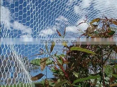 mesh wholesale mist bird net