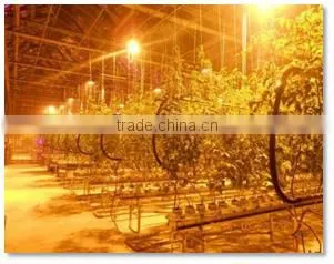 Artificial Lighting System for Greenhouse