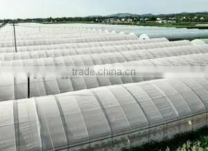 transparet PE plastic film for agricultural/construction