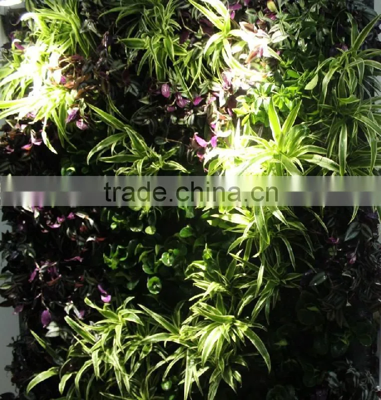 2015 new designed high quality artificial plant wall/decorative artificial vertical garden wall