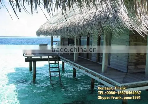 Thatched Cottage wooden house