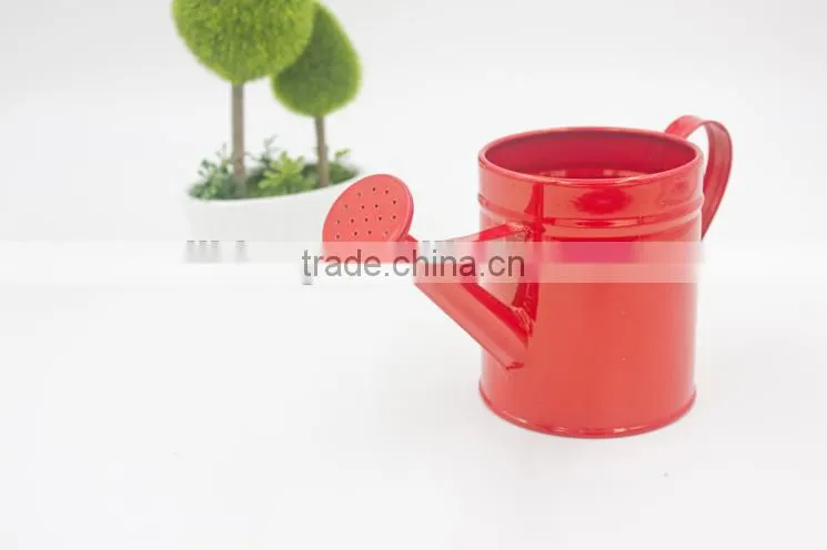 Hot sale metal garden watering pot