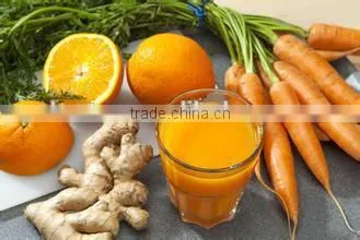 Hand operate Tomato Juicer,vegetable Juicer