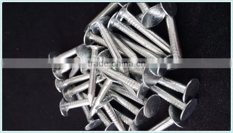 coil roofing,factory direct sale nails