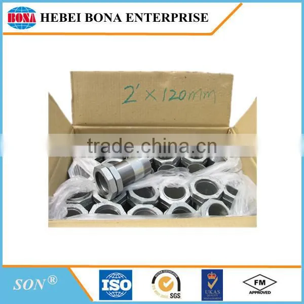 Popular hot dipped / electric galvanized carbon steel pipe nipples