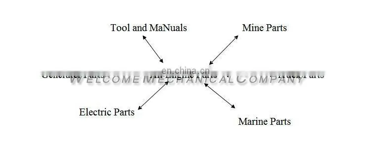 diesel engine parts Cummins L10 M11 Main Bearing 4025125 supplier in china