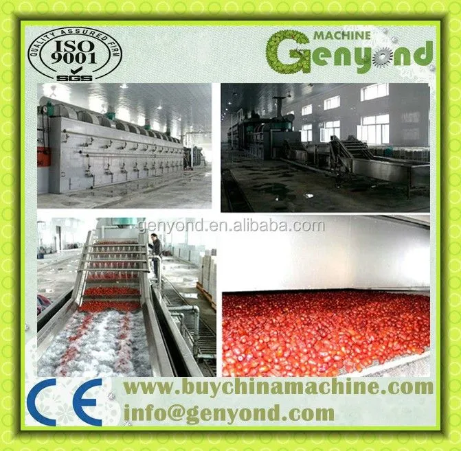 DW Series Mesh Belt Dryer Fruit and Vegetable Dryer