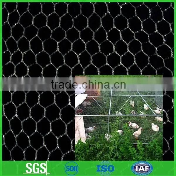 Choose us!!!!!! cheap chicken wire,chicken wire for sale (anping factory)