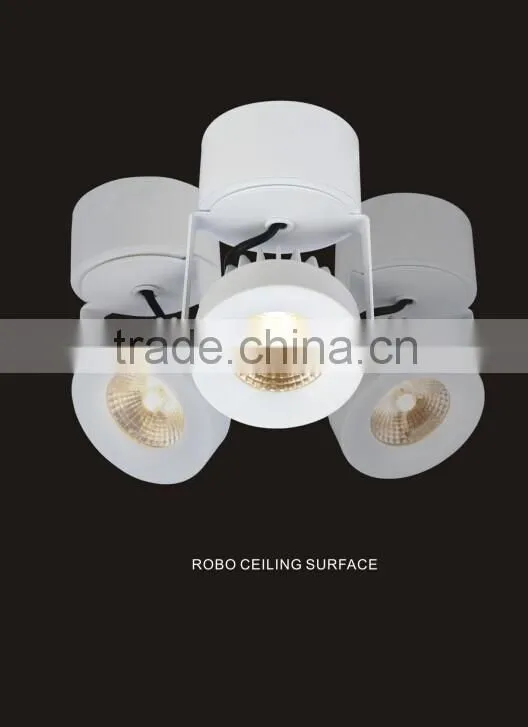 Dimmable Adjustable 15W COB LED Surface Mounted LED Ceiling Light with HEP driver