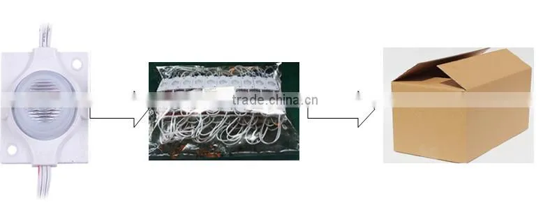 No need power supply IP65 waterproof 3W AC110V 4040 injection led light modules white LED module