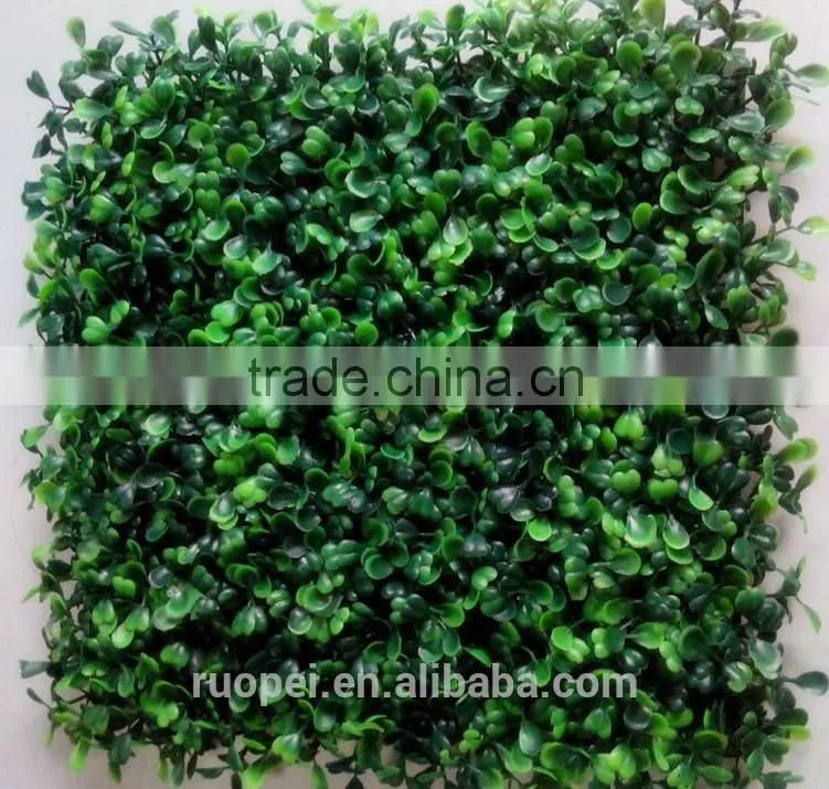 High quality Artificial boxwood mat/ hedge for decoration wall