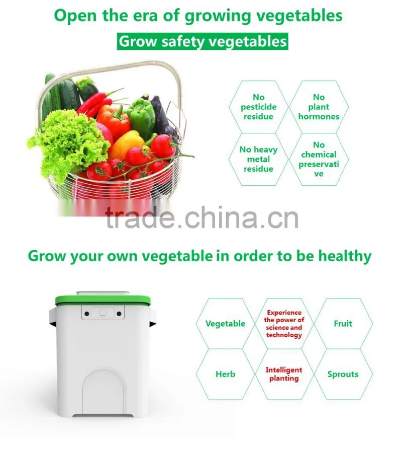 Widely used volcanic rock planters pots