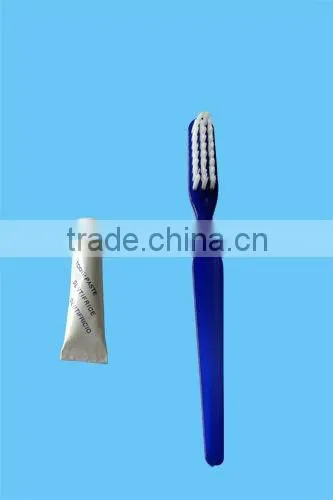 travel toothbrush with toothpaste