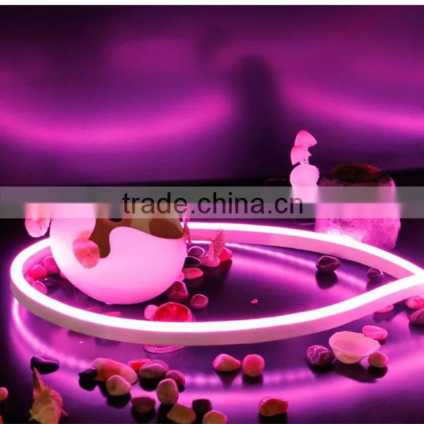 High quality led neon rope light for indoor&outdoor decoration