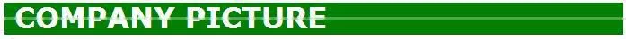 veterinary injection veterinary injection syringe veterinary syringe 5ml