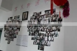 Shenzhen Firsteye Electronic Co., Ltd. company overview - view 2