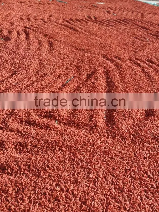 Dried Goji Berry 650grains/50g