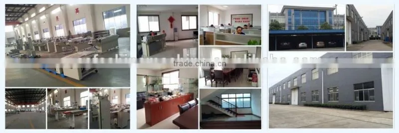low price and hig quality hot sell biscuit packaging machine China factory supply