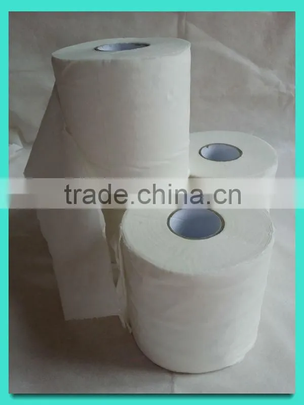 Biodegradable toilet tissue toilet paper roll