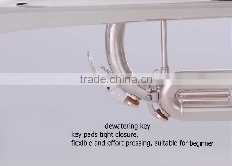 cheap trumpet silver