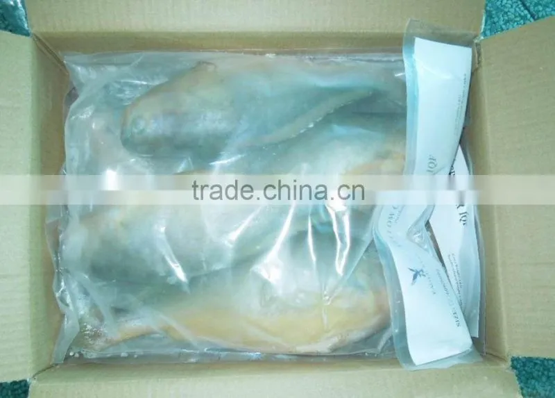 Croaker fish seafood frozen yellow croaker fish promoting price