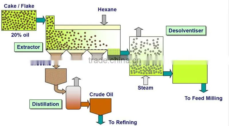 Sunflower Oil Extraction Machine