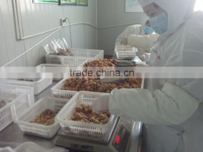 Supplier of peeled chestnut from Shandong export to all market