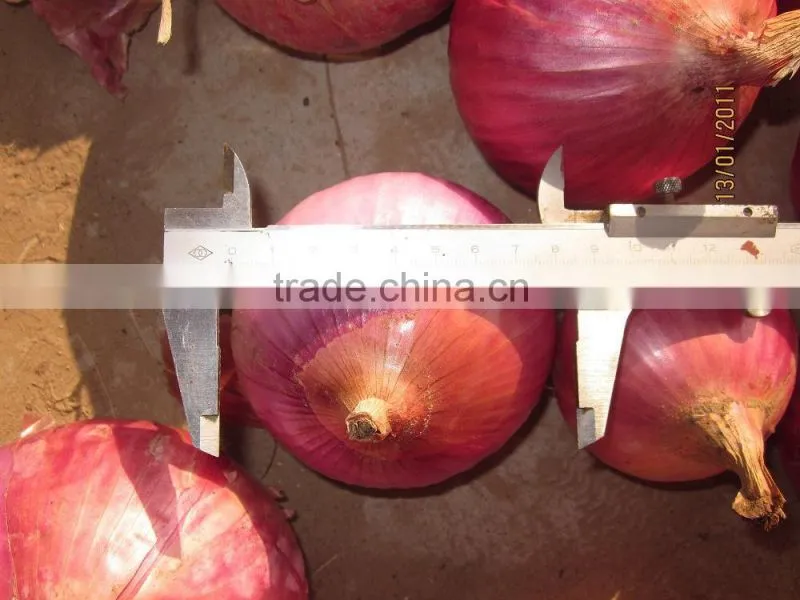 non-peeled fresh onion