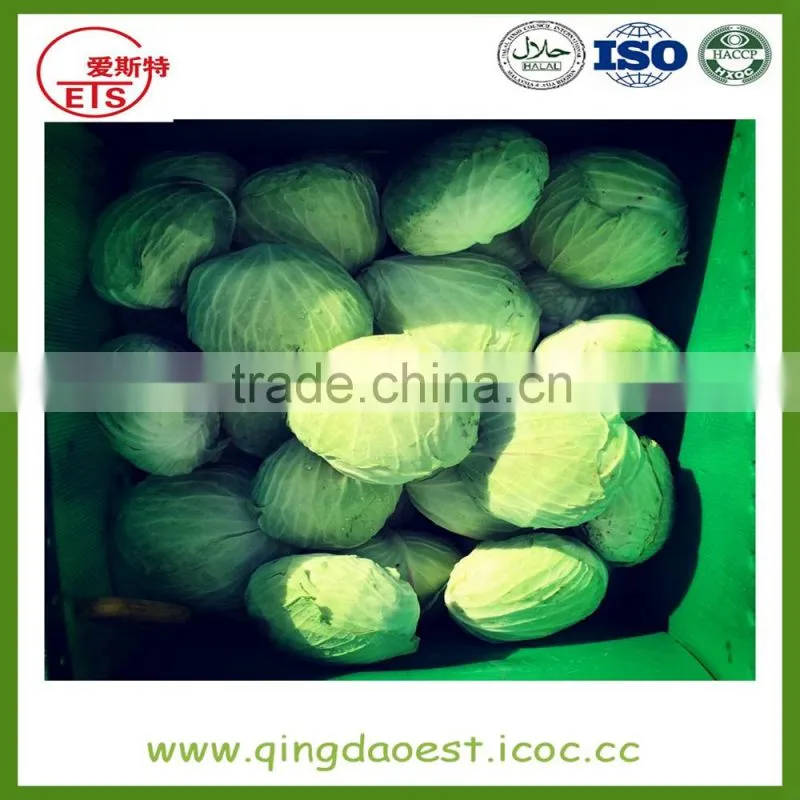 wholesale fresh broccoli for sale