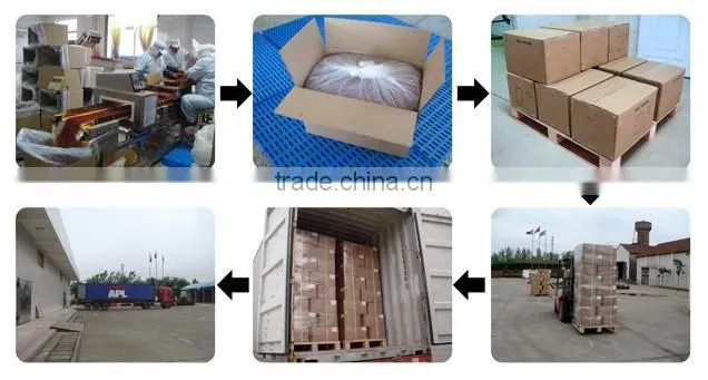 Professional Spices Manufacturer farm green,red bell pepper price for salad, soup