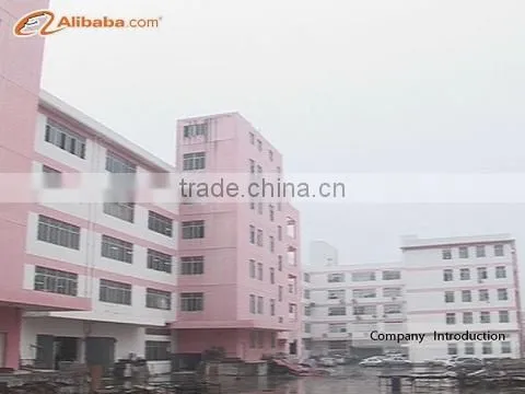 Aceally (Xiamen) Technology Co., Ltd. company overview - view 1