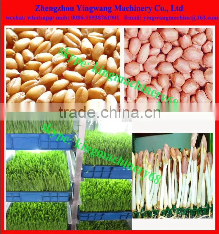 animal fodder green seedling growing machine