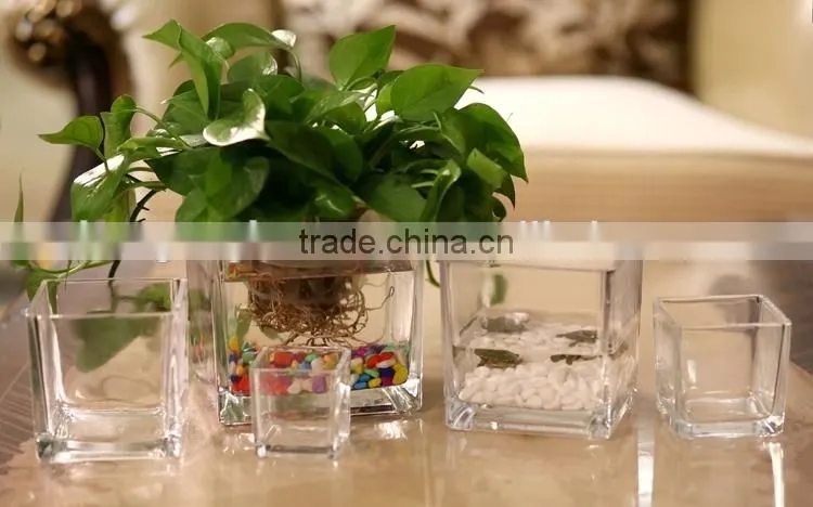 hot sale hand blown square glass vase