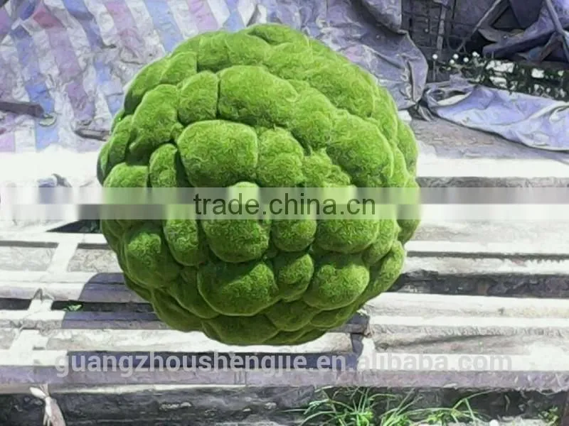 Q0908006 wedding decoration topiary China manufacturer artificial moss balls