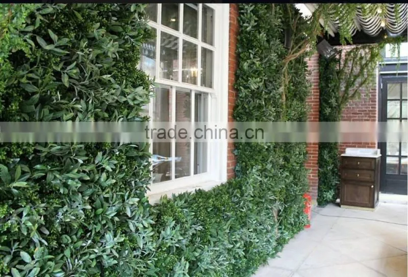 Exterior grade green walls made with Buxus sprays to create a simple green backdrop