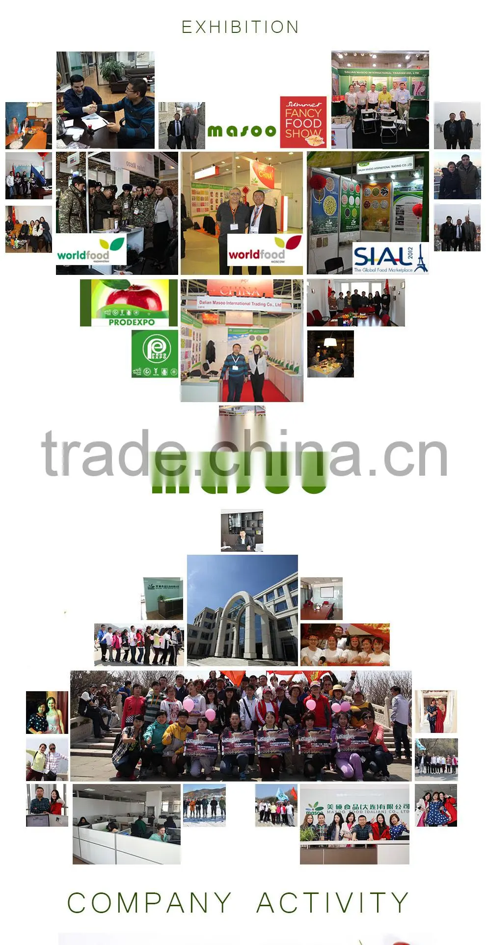 2015 the breadcrumbs high quality China Dalian origin