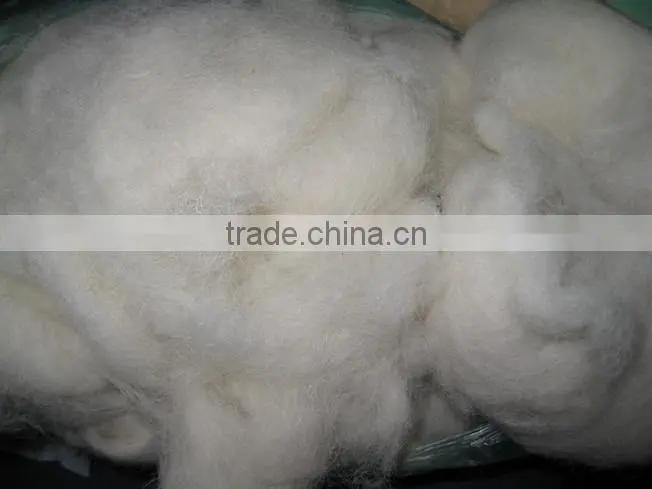 Real sheep wool fiber for sale