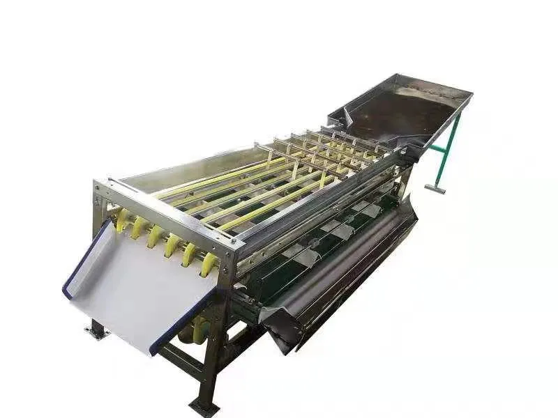 Green Lime Fruit Sorting Grading Machine Sorter Grader Machine Line Classifying Machines